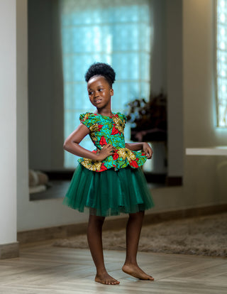 Tami Formal Tulle Dress