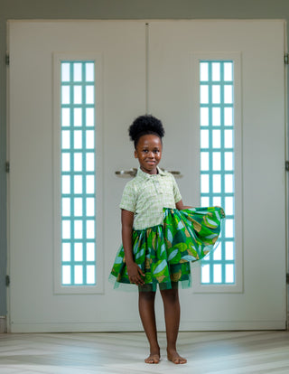 Saama Tulle Shirt Dress